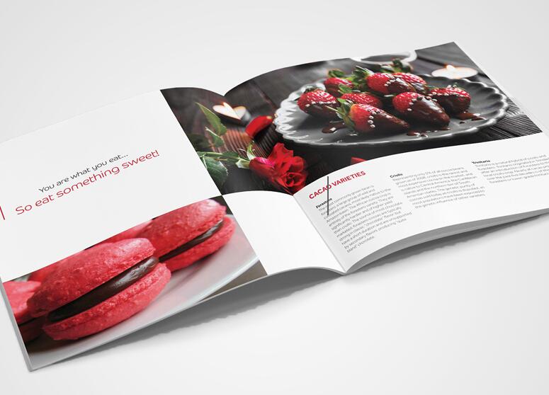 畫冊(cè)印刷 畫冊(cè)印刷